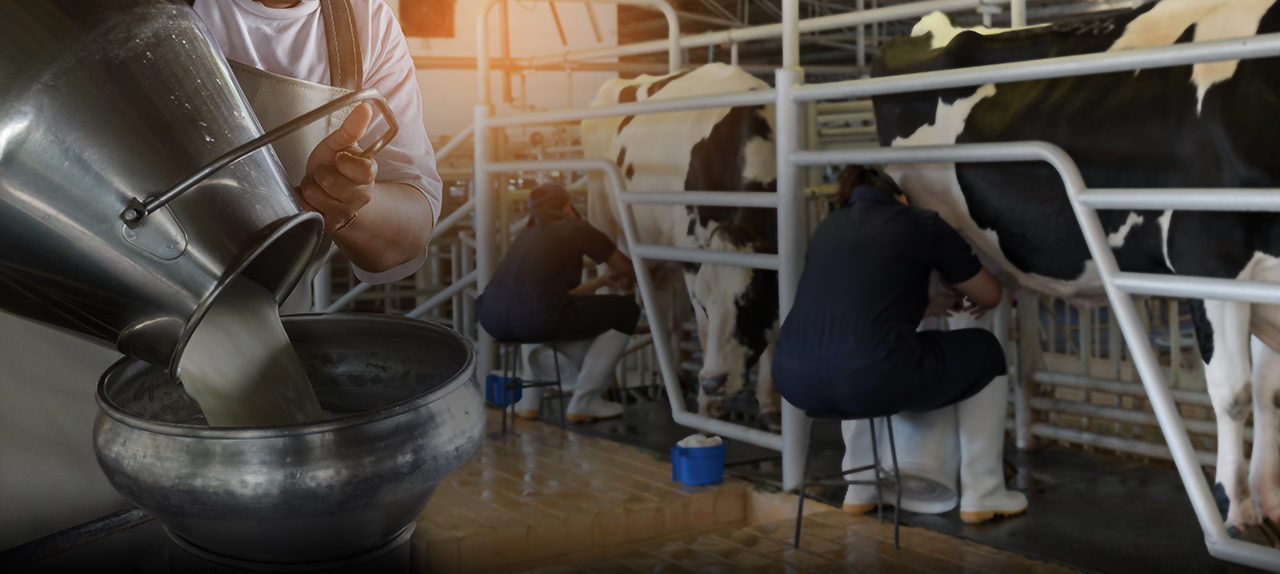 Modern Dairy Operations